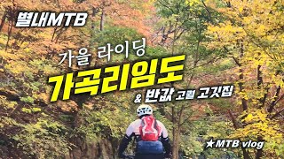 [별내MTB] 가을 가곡리 임도 / 50% 할인 담가화로구이 평내호평점