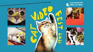 CatVideoFest 2021 | Official Trailer | July 25-29