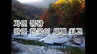 여행 경치 - 외국인이 부러워 하는 한국의 자연과 도시 풍광은 단연 세계 최고 - 음악게임