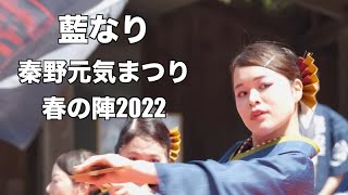 藍なり 2022年秦野元気祭りよさこい