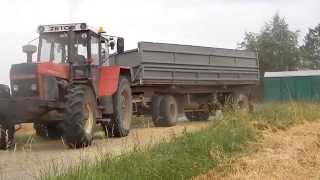 Žně, Żniwa, Žatva (pšenica) / Wheat harvest - Zetor - Claas - John Deere -  Case - MDW