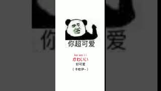 日语学习视频教程~好可爱，日语怎么说？#日语 #散装日语