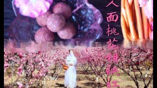 桃花赋（一）：人 面 桃 花 相 映 红 ，史上最全色味巨佳八种桃花宴！