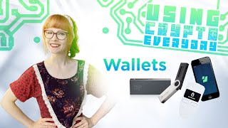 Beginner's Guide to Crypto Wallets (2022)