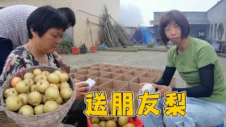 大姐和婆婆摘一些自家种的梨，送给远方的朋友【乡村大姐】