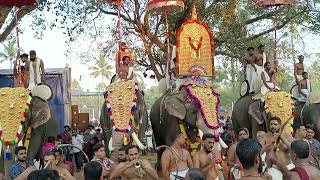 കിഴക്കൊട്ട് അനിയൻ മാരാർ കലാമണ്ഡലം ശിവദാസൻ ഇരിഞ്ഞാലപിള്ളി ഉത്സവം kerala festival