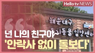 [LG헬로비전]안락사 없는 유기동물입양센터