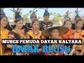 DAYAK BLUSU KABUPATEN TANAH TIDUNG - KALTARA Mubes Pemuda Dayak Kaltara 2022