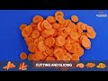 carrot processing for fresh produce u0026 salads allround vegetable processing