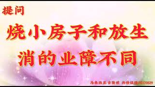 卢台长开示：烧小房子和放生消的业障不同马来西亚·吉隆坡世界佛友见面会提问及图腾170829