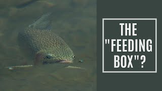 Targeting Spooky, Educated or Highly Pressured Fish
