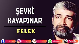 ŞEVKİ KAYAPINAR - Saraylar yaptırdım oturayım diye felek