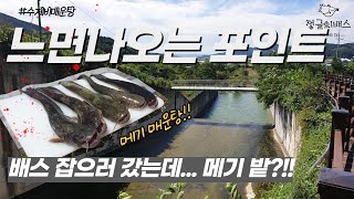 분명히 배스낚시 갔는데 메기가 느면나와! - 런커 많기로 유명한 포인트! (feat.메기매운탕)