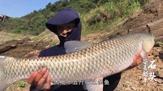 野钓山体水库：8米水深打重窝，上条大草鱼抄网都抄坏了 #Fishing