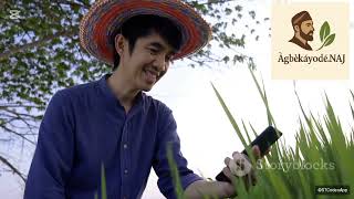 Agri-Fintech Digital Platforms for Farm Financing