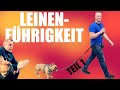 Leinenführigkeit Hund zieht an der Leine