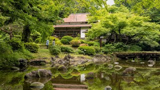 240520後樂園明治神宮V1