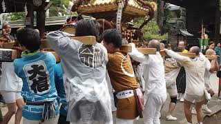 令和元年　お祭り散歩　品川　荏原神社　神輿渡御　宮入り道中　2019.6.8