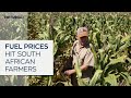 Rising fuel prices threaten South Africa’s harvest season
