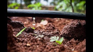 KK-Drip Irrigation #Demo Video