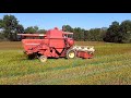 buckwheat harvest with the hydro 510