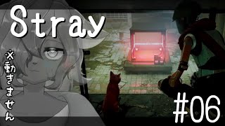 【Stray】迷子の猫と方向音痴の猫と #6【雨宮月彦】