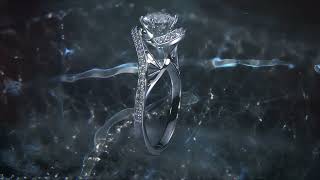 Abstract Underwater Creature Jewellery presentation