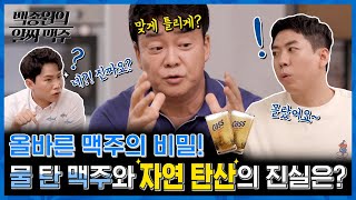 [알짜맥주클라쓰] 팩트체크편