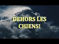 Dehors les chiens! 2/2