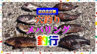 2022年 男鹿【穴釣り・メバリング】２日間の釣行♪