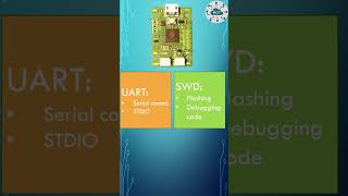 Raspberry PI Debug Probe connecting to the Raspberry PI Pico for UART Communication