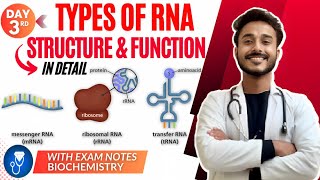 rna structure biochemistry | types of rna biochemistry | function of rna biochemistry