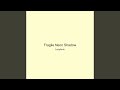 Fragile Neon Shadow