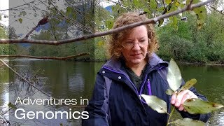 The Power of Plant Partnerships | Adventures in Genomics