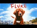 Fluke Full Movie English 1995 Review & Facts | Matthew Modine, Jon Polito, Eric Stoltz, Nancy Travis