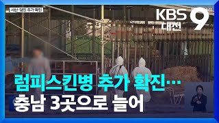 서산·당진서 럼피스킨병 추가 확진…충남 3곳으로 늘어 / KBS  2023.10.21.