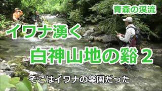 イワナ湧く白神山地の谿 (後編) / 青森の渓流 / みちのく釣りの旅  ﾌﾗｲﾌｨｯｼﾝｸﾞ渓流釣り(4K) fly fishing