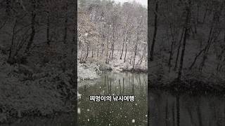 ●붕어낚시 여주수로 짬낚시 조행기