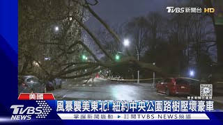 冬季風暴侵襲美國東北! 紐約中央公園路樹壓壞豪車｜TVBS新聞 @TVBSNEWS01