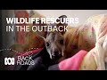 Wildlife rescuers cash in super to open outback sanctuary | Back Roads | ABC Australia