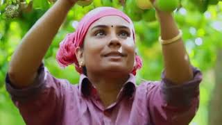 How Indian Farmers Harvest a Million Passion Fruits | Processing Factory | Farming Documentary