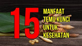 Masya Allah, Inilah 15 Manfaat Temu Kunci Untuk Kesehatan