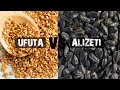 UFUTA VS ALIZETI (TIBA ASILI) | UMUHIMU  WA MBEGU ZA UFUTA NA MBEGU ZA ALIZETI