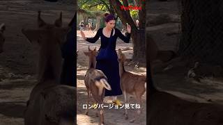 鹿に餌やりに大満足の外国人観光客🦌奈良公園