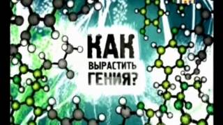 Как правильно воспитывать и учить ребёнка, чтоб вырастить таланта вундеркинда гения