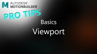 MotionBuilder ProTips - Basics - Viewport