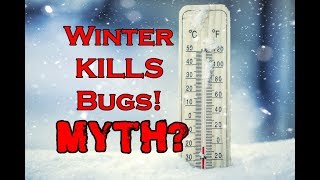 COLD WINTERS KILL BUGS! - Myth May - Ep. 25