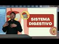 “5 tipos de abdomen y lo que significan para tu salud”