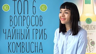 ТОП 6 самых популярных вопросов директ о чайном грибе комбуче | HQ Kombucha