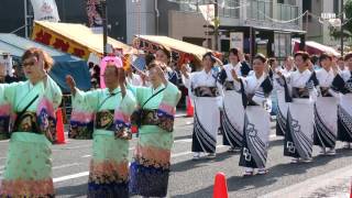 八王子まつり～太鼓・民謡流し・山車総覧～2017